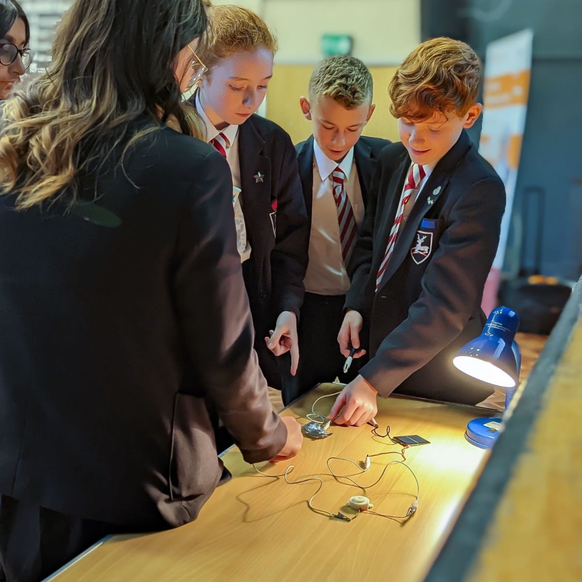 The Redhill Academy - The Faraday Challenge comes to Redhill!